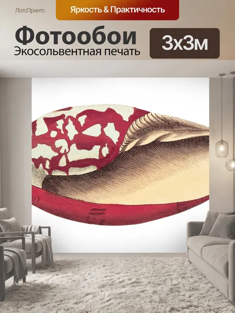 Фотообои Раковина улитка винтажное искусство