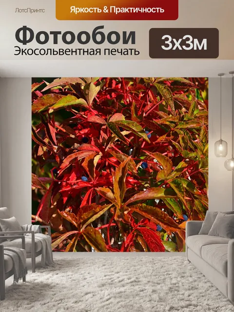 Фотообои Природа