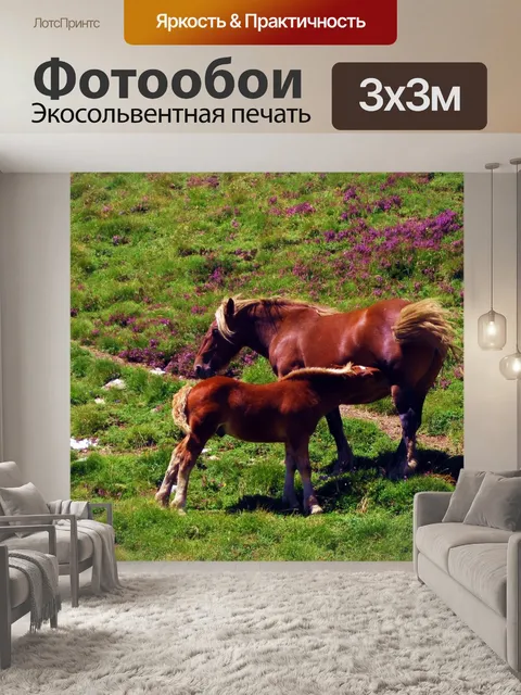 Фотообои Лошади