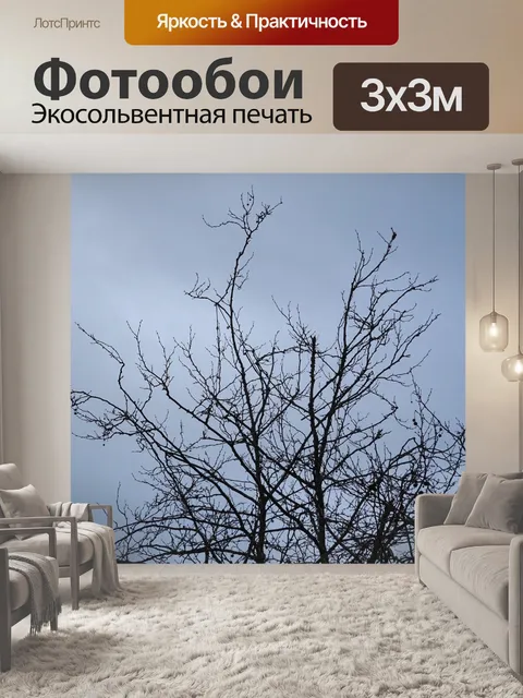 Фотообои Winter Tree Top
