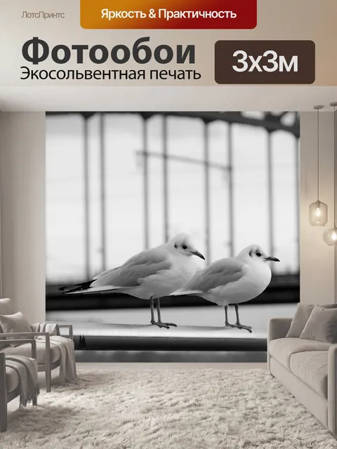 Фотообои Чайки