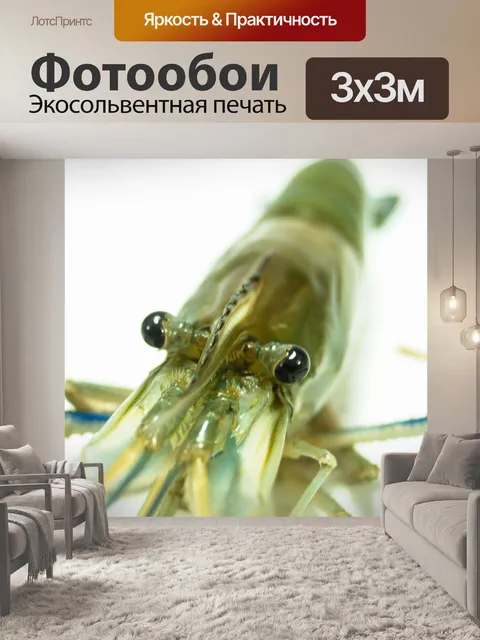 Фотообои Свежие приготовленные креветки фон мореп