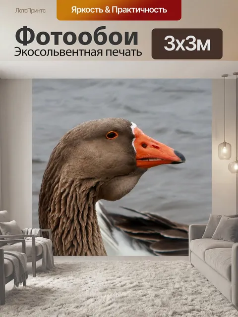 Фотообои Животное