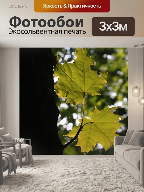 Фотообои Листья