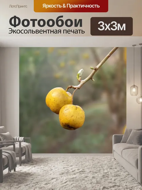 Фотообои Природа