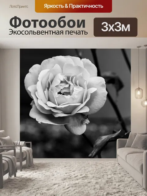 Фотообои Розы