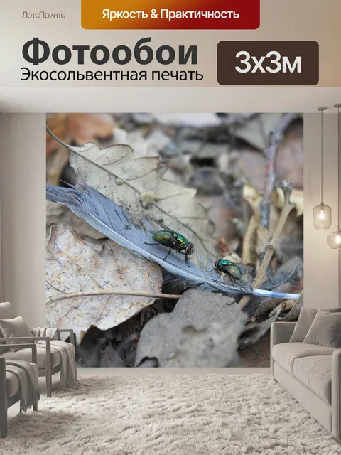 Фотообои Птица