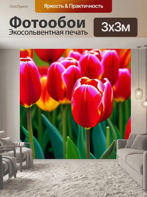 Фотообои модерн тюльпаны в ярких тонах