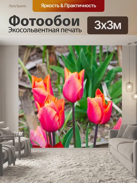 Фотообои Тюльпаны