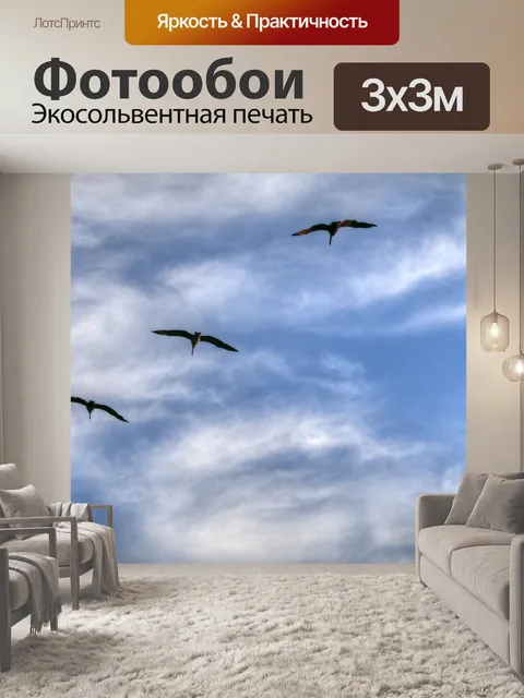 Фотообои Птицы силуэты
