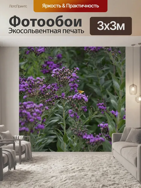 Фотообои Цветение фиолетовых цветов