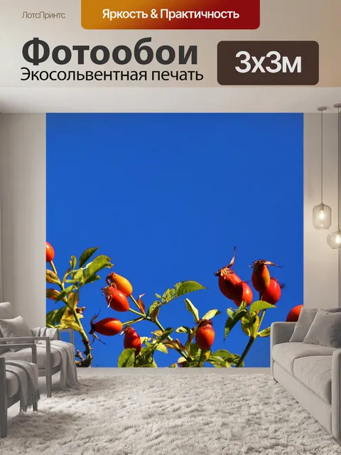 Фотообои Шиповник