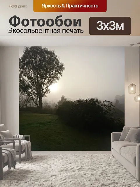 Фотообои Туман