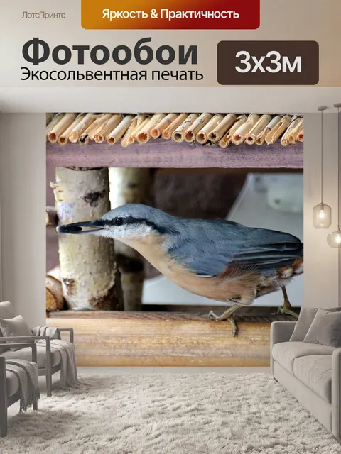 Фотообои Птица