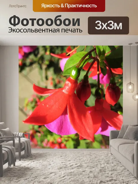 Фотообои Фуксия
