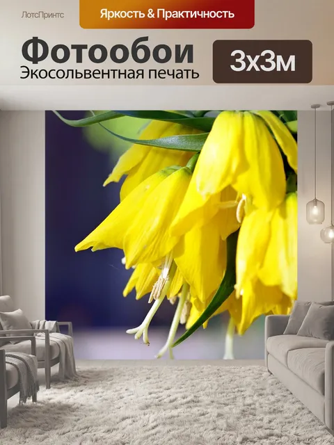 Фотообои Цветы