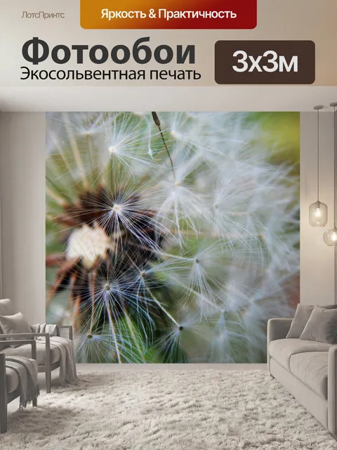 Фотообои Одуванчики