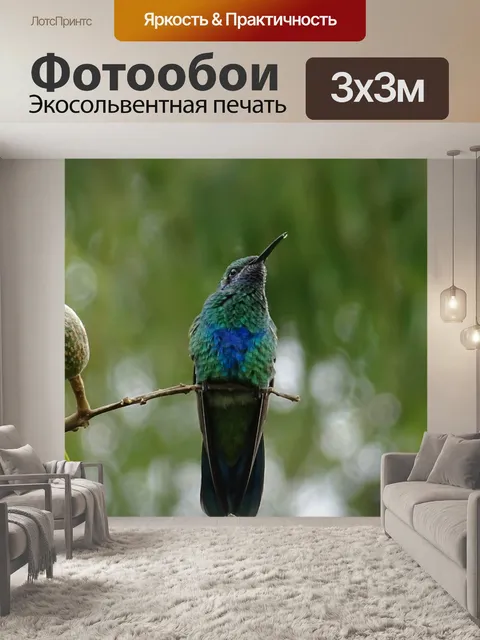 Фотообои Птица