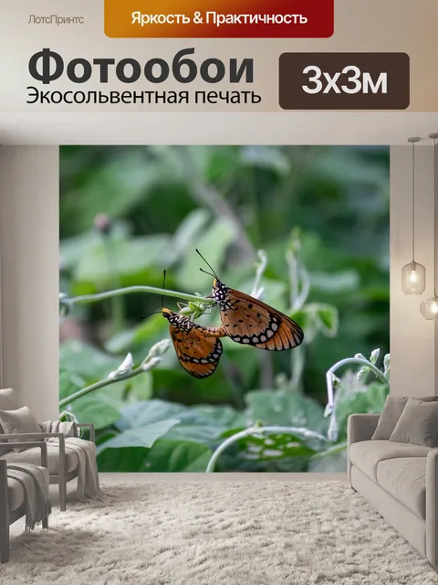 Фотообои Бабочки