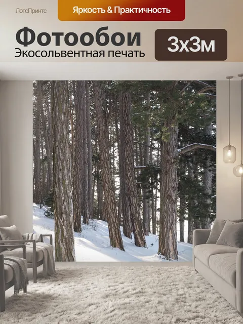 Фотообои Сосновый лес