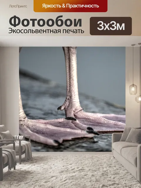 Фотообои Чайные футы