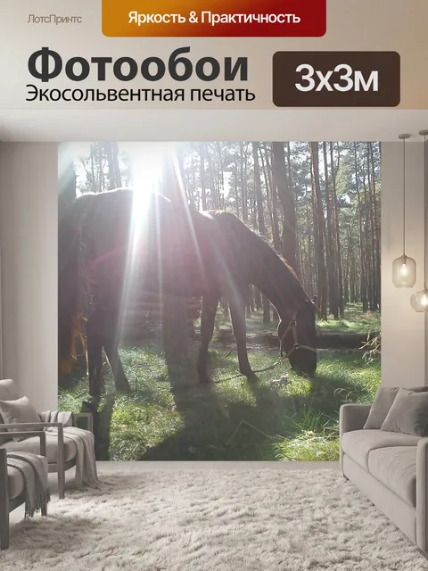 Фотообои Лошадь