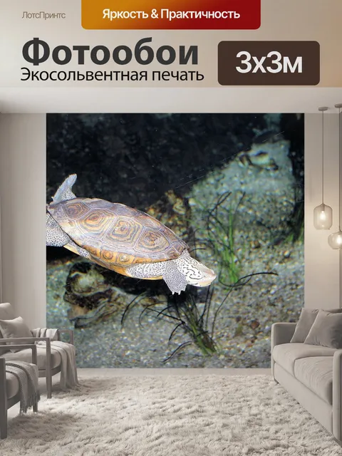 Фотообои Животные