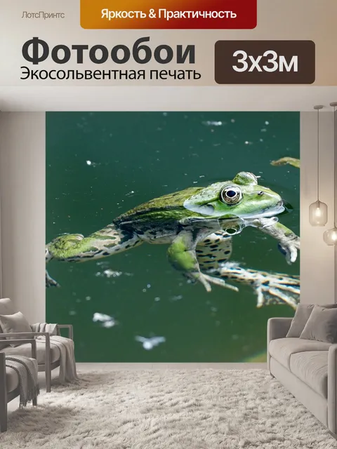 Фотообои Лягушка