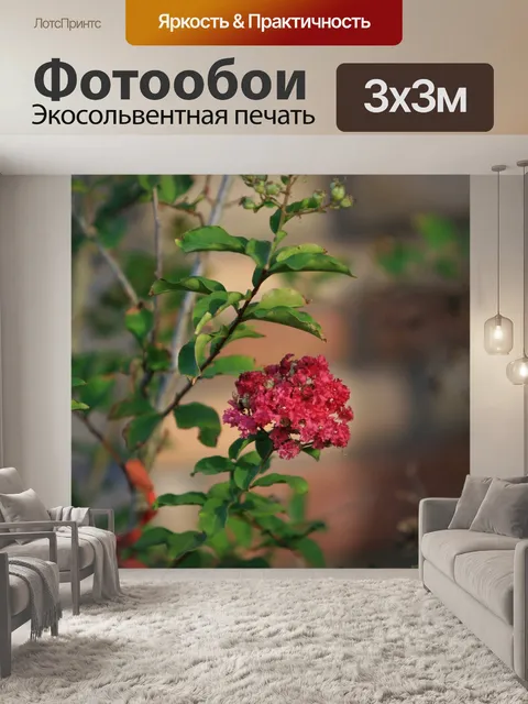 Фотообои Ветви