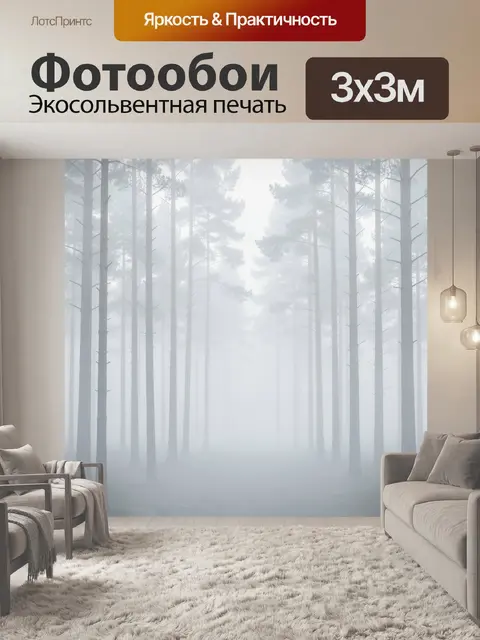 Фотообои Туманный сосновый лес