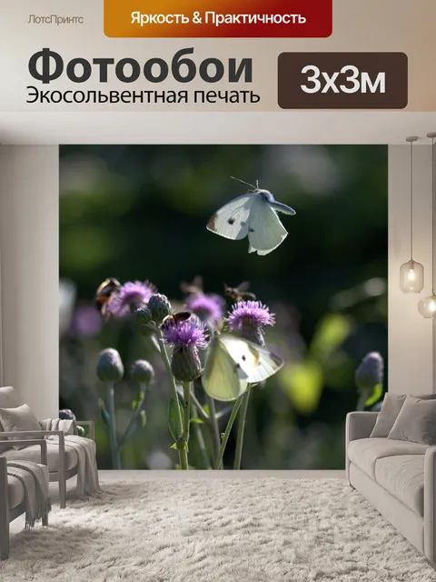 Фотообои Бабочки