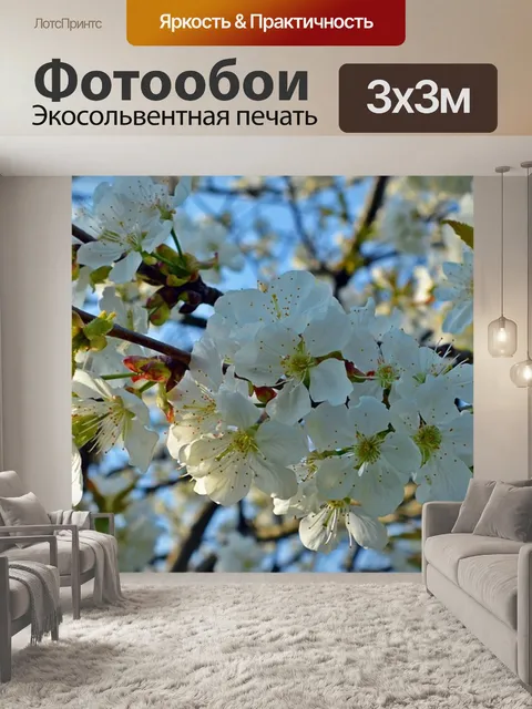 Фотообои Вишня в цвету