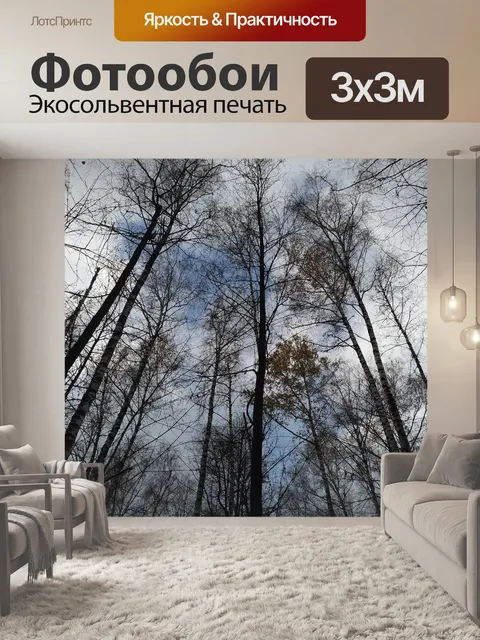 Фотообои Зима
