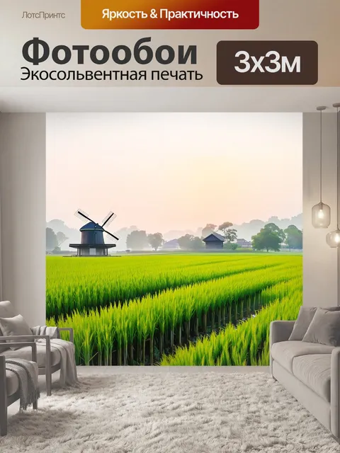 Фотообои япония: бескрайние зеленые рисовые поля, омываемые нежными лучами утреннего солнца