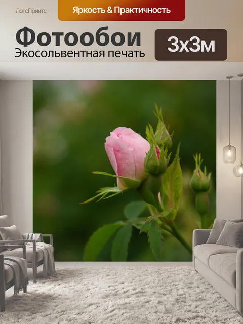 Фотообои Розы