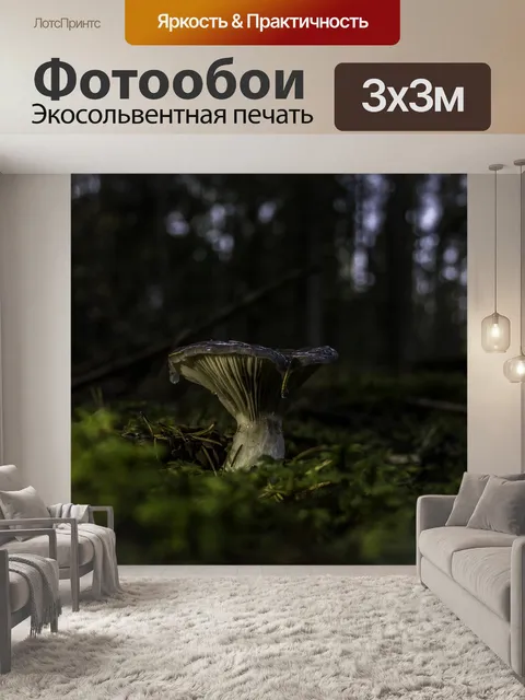 Фотообои Гриб