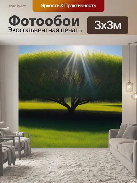 Фотообои панорама со светом яркого полуденного солнца
