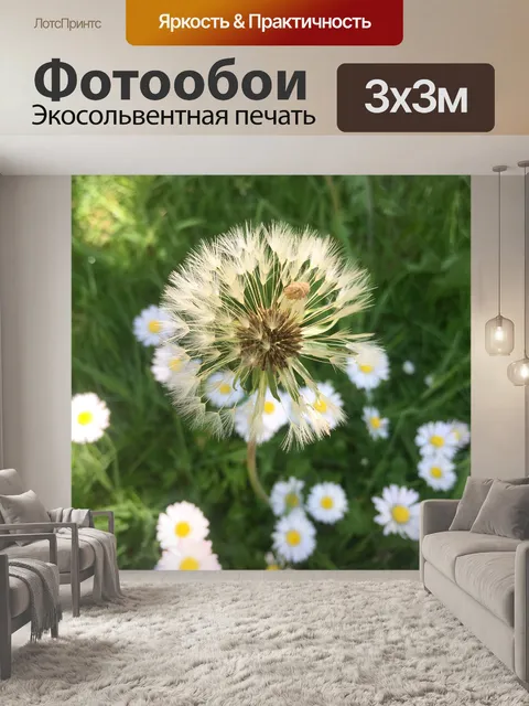 Фотообои Одуванчики