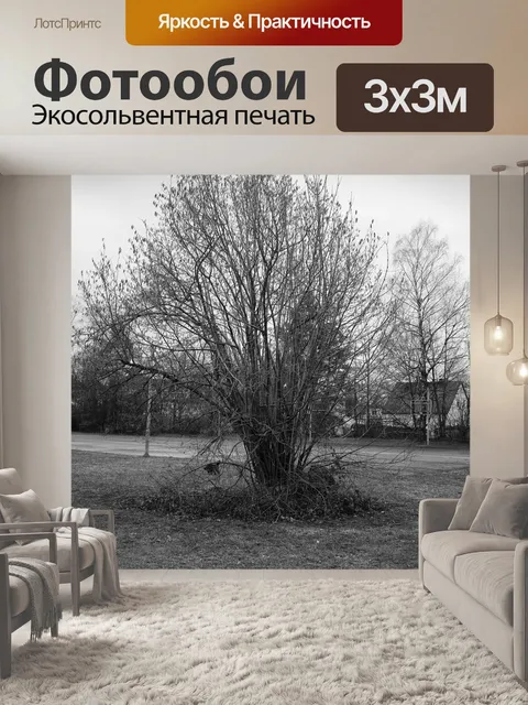 Фотообои Пейзаж