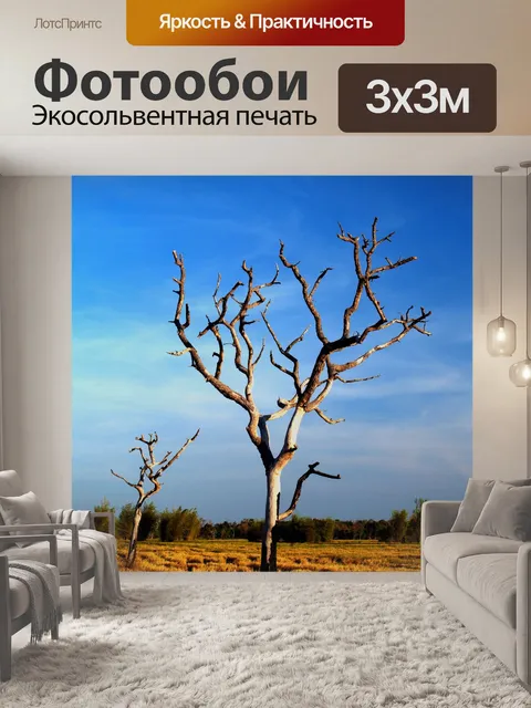 Фотообои Мертвое дерево фона