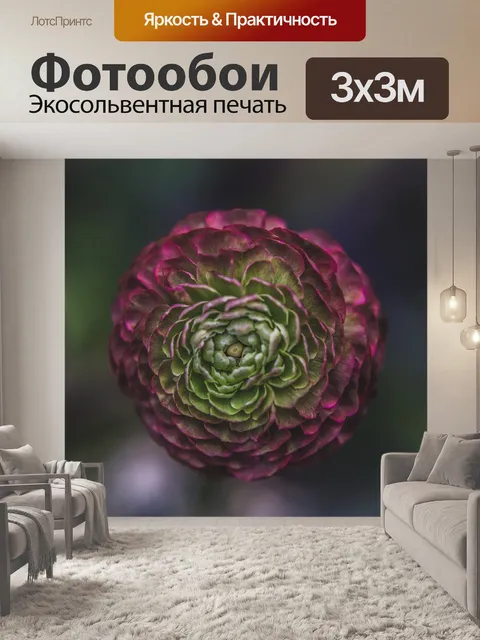 Фотообои Темный