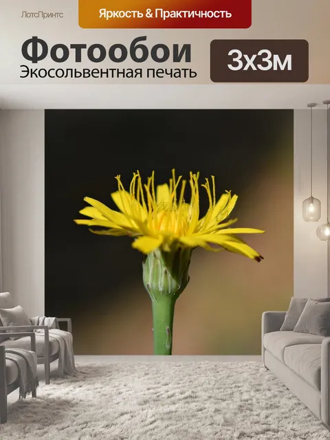 Фотообои Цветок