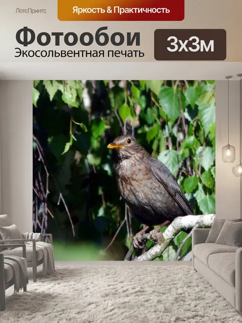 Фотообои Птица