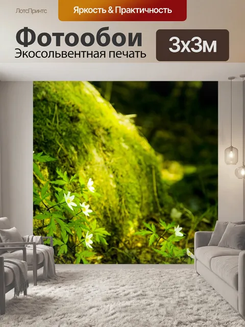 Фотообои Лес