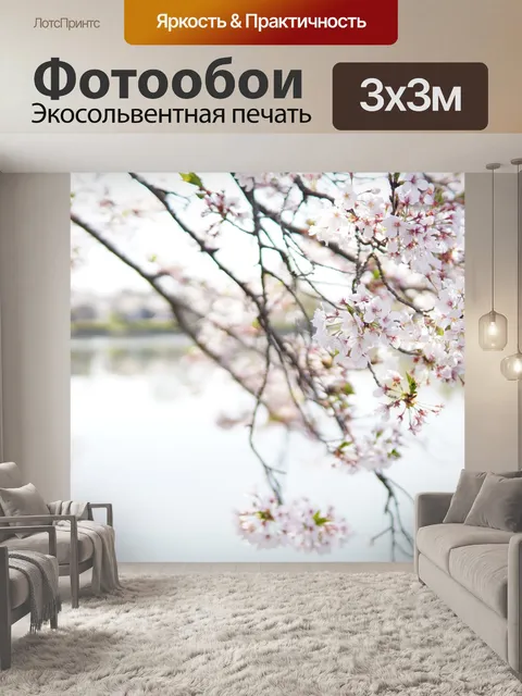 Фотообои Вишни в цвету