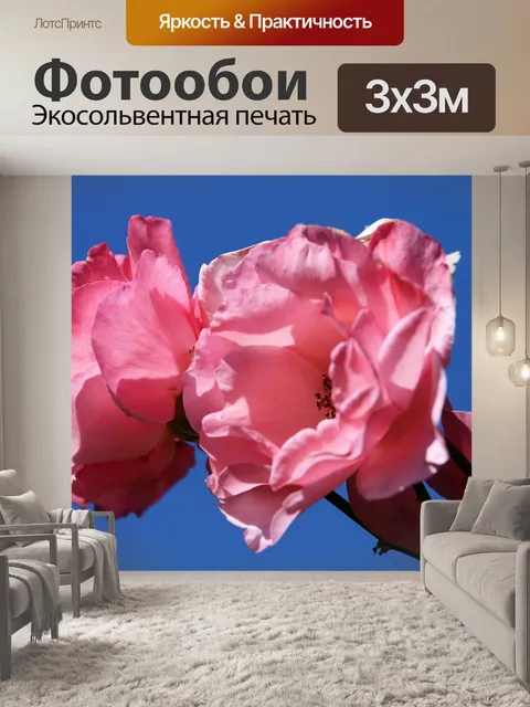 Фотообои Розовые розы бабочка