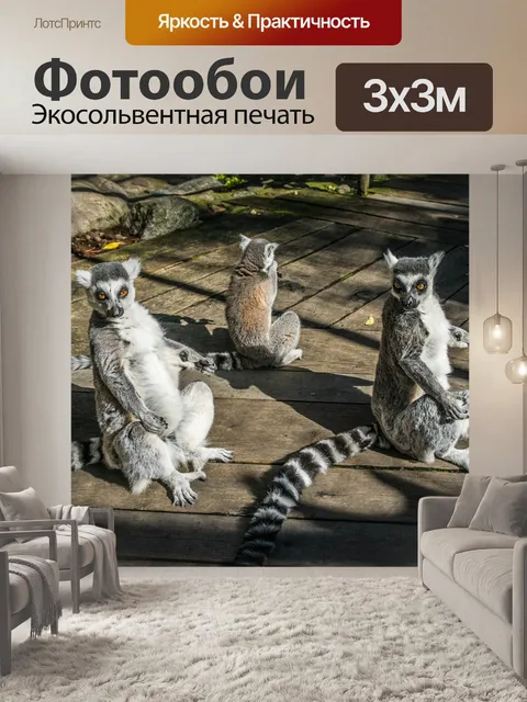 Фотообои Лемуры