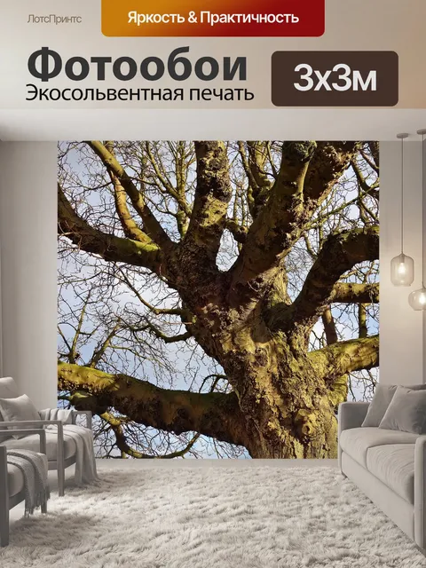 Фотообои Дерево
