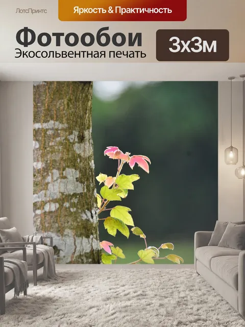 Фотообои Листья