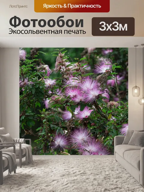 Фотообои Цветы